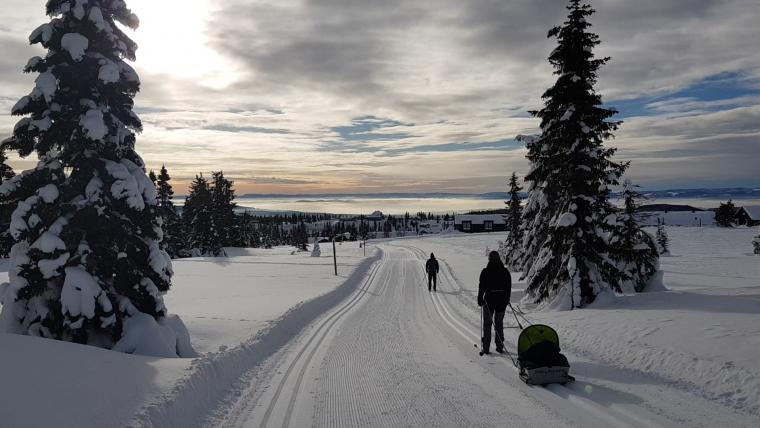 Fantastiske langrennsløyper venter på Sjusjøen