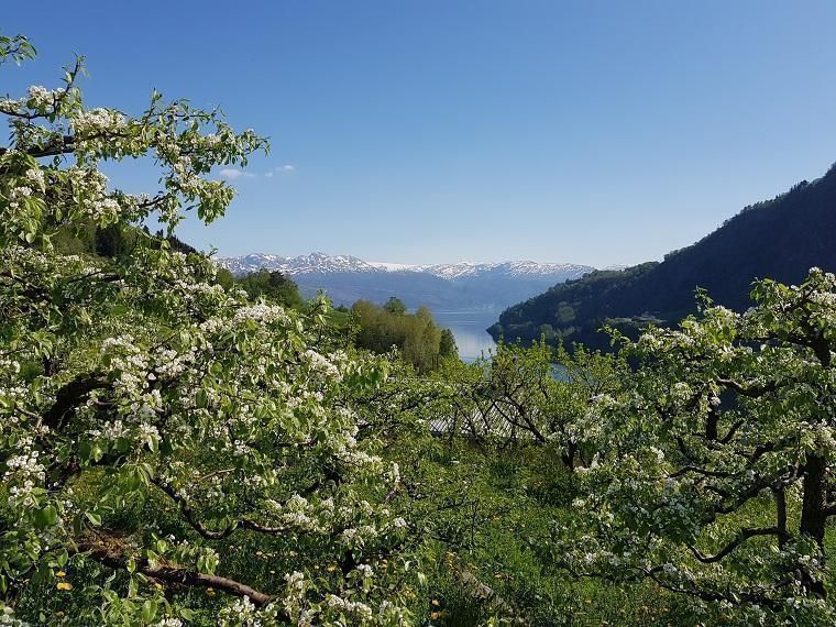 Vakker natur venter deg på hytteferie i Kvam
