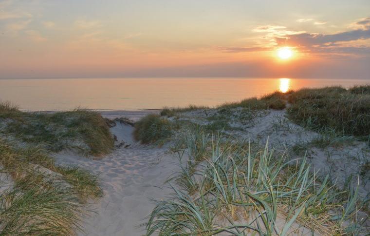 Deilige dager på stranden ved sommerhuset ved Stadil Fjord