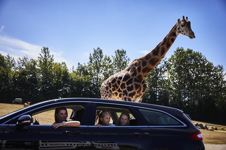 Lei feriehus i Danmark og besøk GIVSKUD ZOO