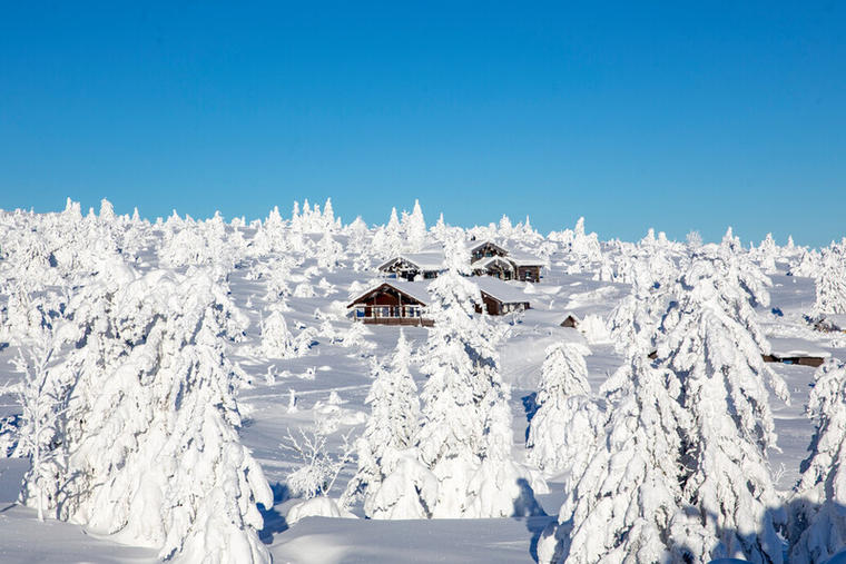 Lei ei hytte i Trysil med NOVASOL