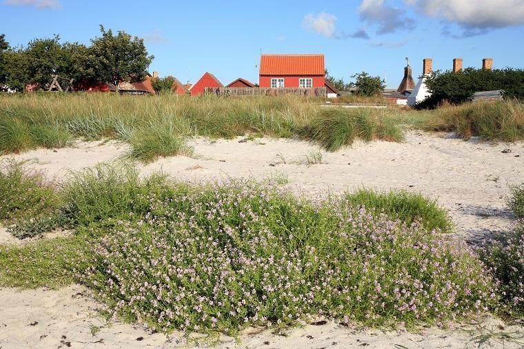 Lei feriehus eller ferieleilighet i Sømarken, Bornholm