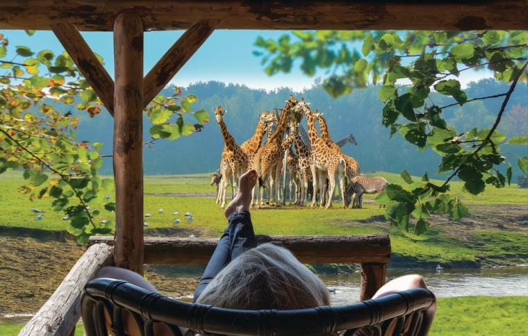 Bo i et feriehus i Safari Resort Beekse Bergen og bo tett på spennende dyr