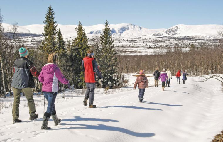 Lei en stor hytte eller feriehus til din neste ferie i Norge