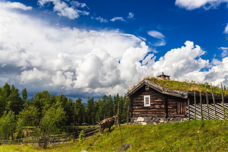 Lei hytte i Oppland