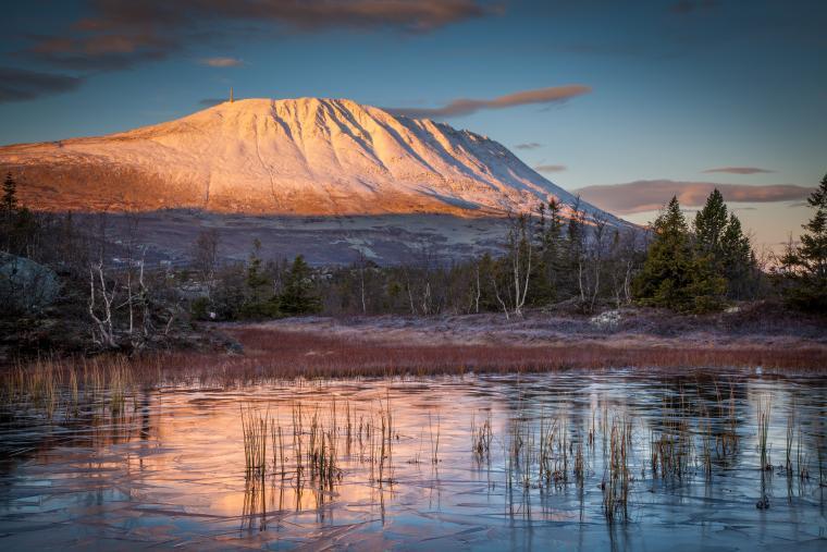 Hytte i Telemark og Agder fjellområder