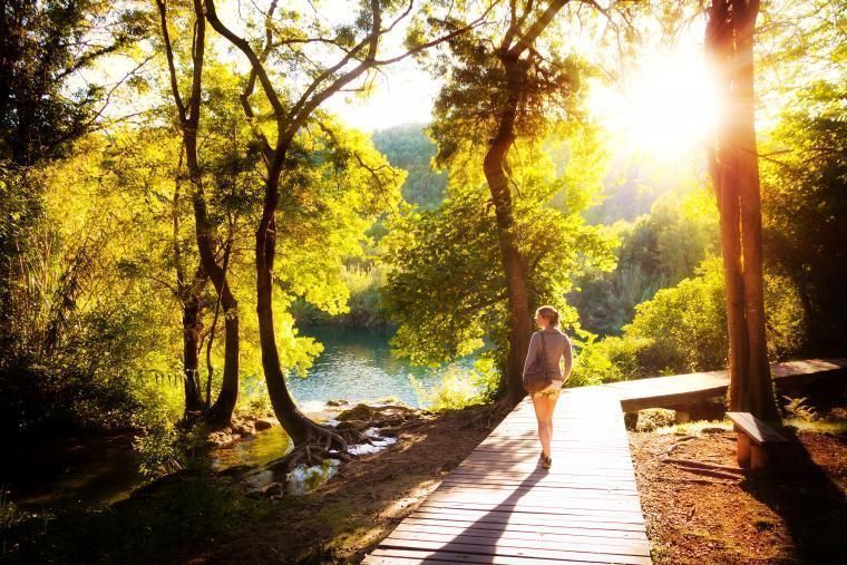 Lei feriehus i Slavonia og besøk nasjonalparken Kopački Rit