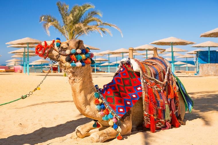 Feriehus eller ferieleilighet i Hurghada