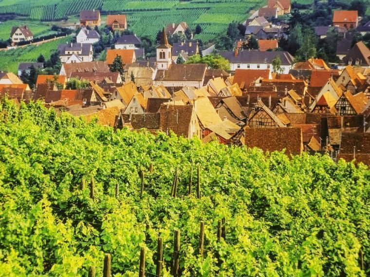 Attraksjoner og opplevelser i Alsace