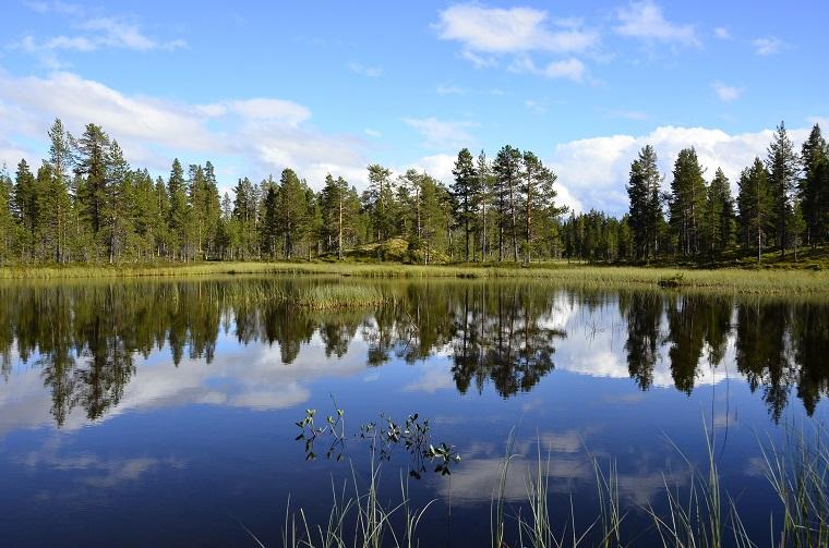 Vakker natur venter deg fra en hytte i Engerdal