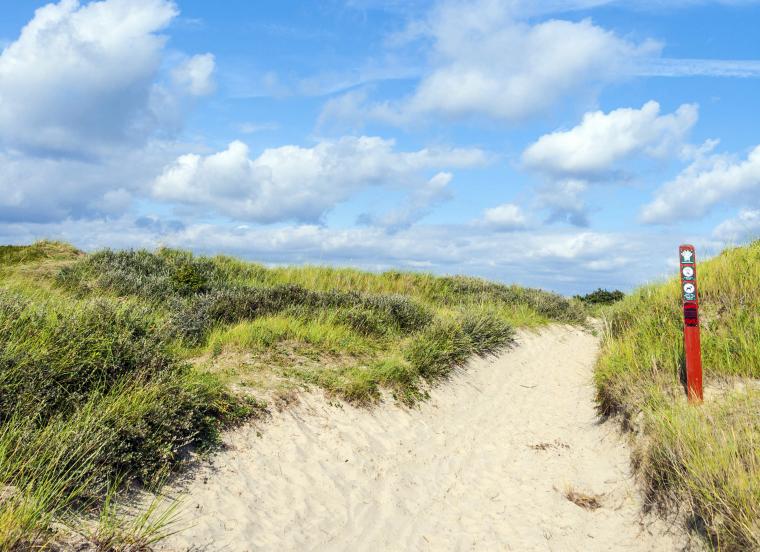 Lei sommerhus på Fanø