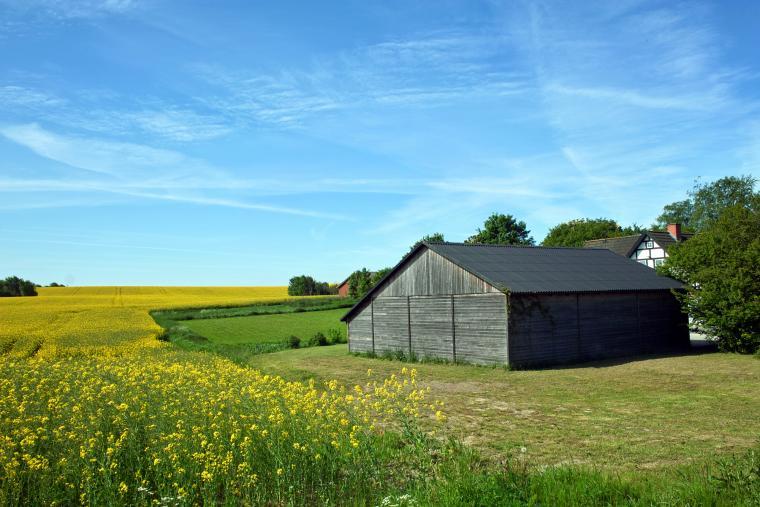 Sommerhus på Sjælland