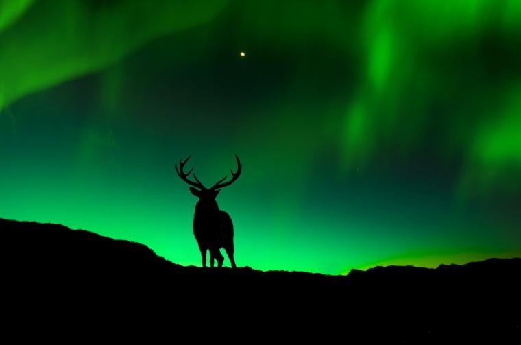 Nordlys