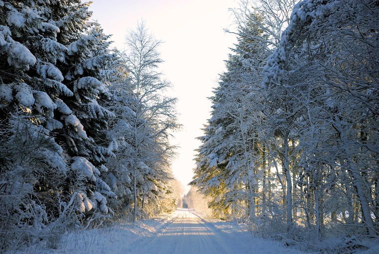 snølandskap
