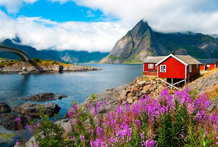 Feriehus i Lofoten