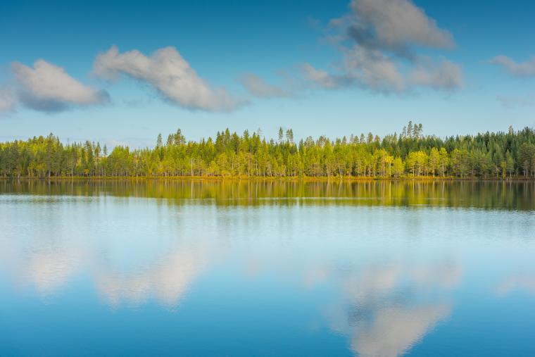 Opplev naturen fra et feriehus i Lappland