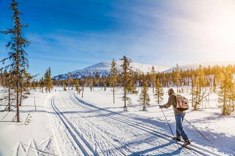Hytte på Hovden