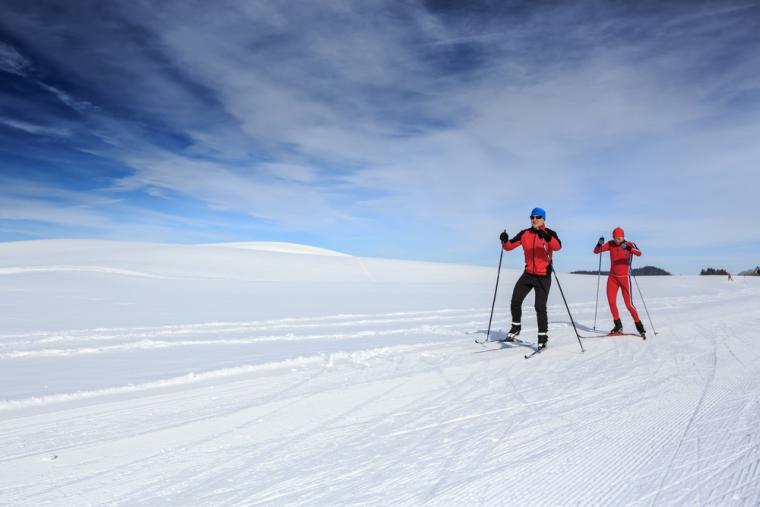 Lei ferien til en hytte i Åseral