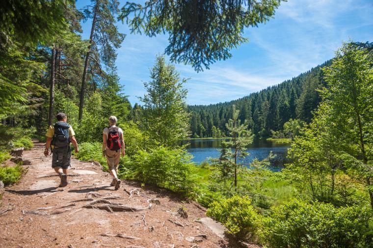 Feriehus og opplevelser i Lüneburger Heide