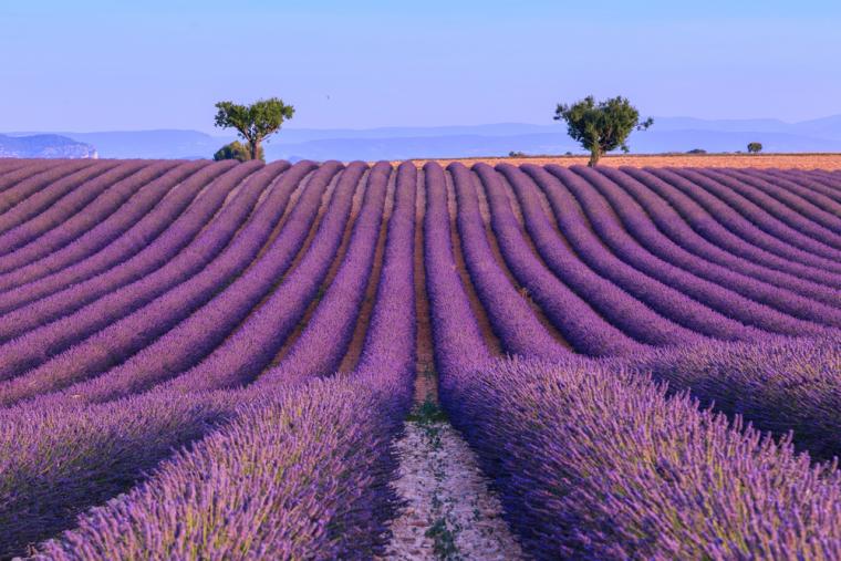 Feriehus eller ferieleilighet i Provence