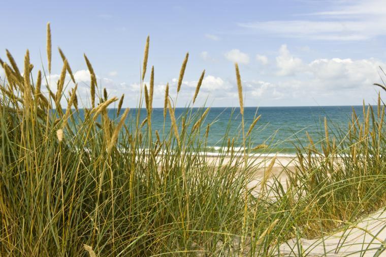Strand Nykøbing Sjælland