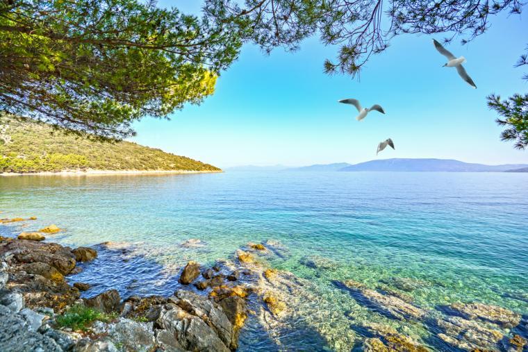 Feriehus i Gradac, Kroatia