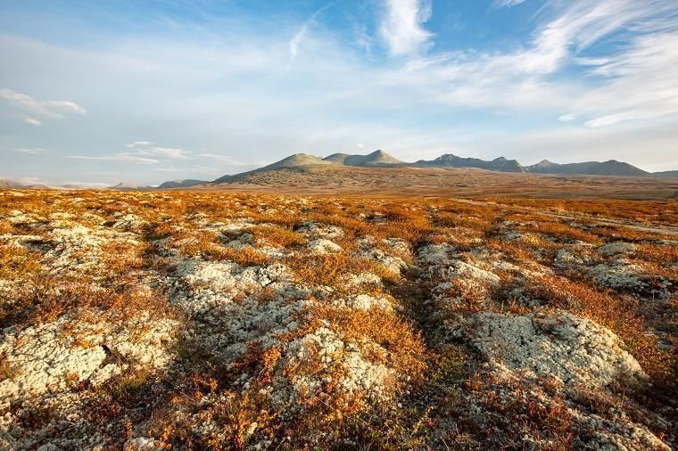 Aktiv ferie i Rondane nasjonalpark