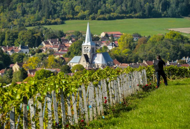 Lei feriehus i Champagne-Ardenne