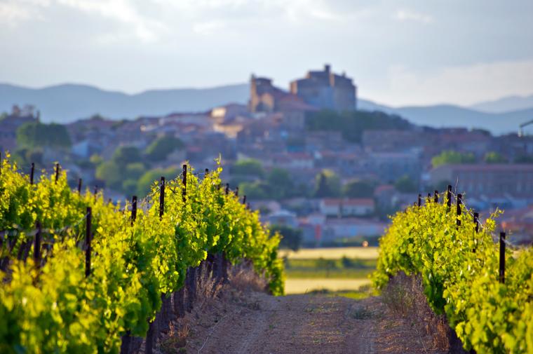 Feriehus i Languedoc-Roussillon