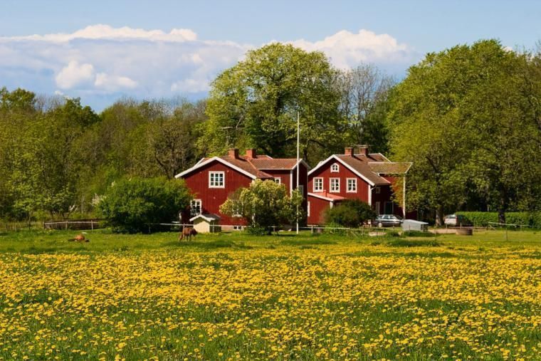 Lei feriehus eller hytte i vakre Skåne