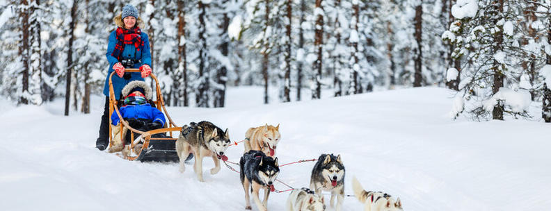 Få rabatt på hundesledetur på Sjusjøen med NOVASOL